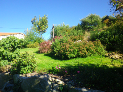 Bassin d'agrément  Rebeyrol : aménagement et entretien des jardins :  Rebeyrol : aménagement et entretien des jardins